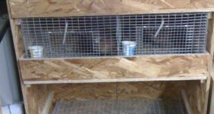 Quail cages with sliding trays