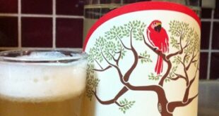 Peruvian Pisco Sour