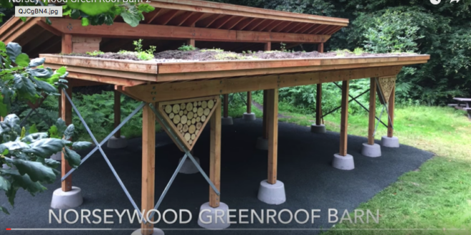 Green roof for chicken coop?