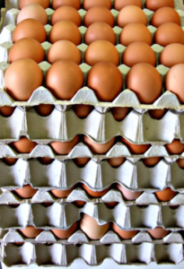 Eggs recalled over fipronil contamination.